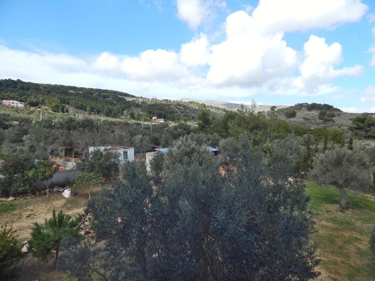 Οδυσσεια, Κοντά Σε Αεροδρόμιο, Λιμάνια Και Θάλασσες Apartment Keratea Exterior foto