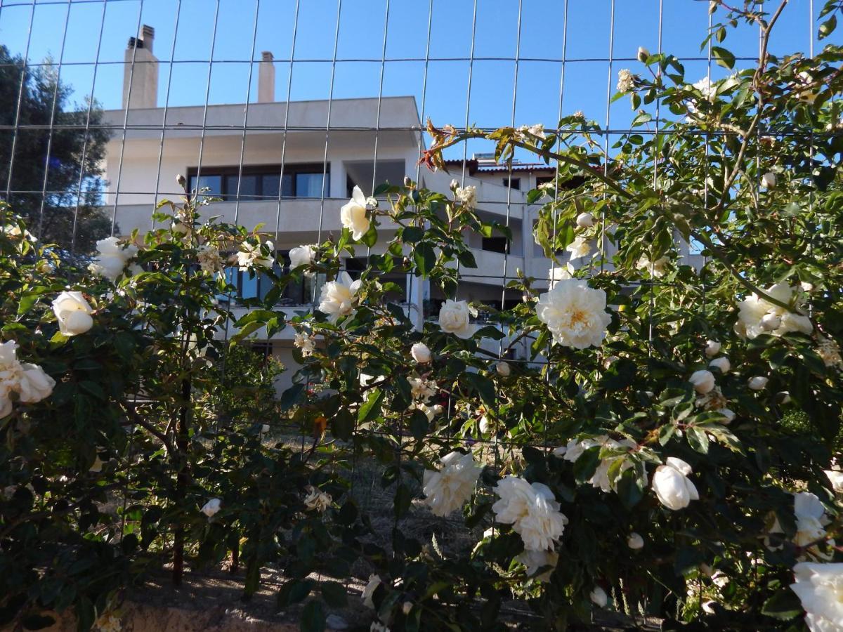 Οδυσσεια, Κοντά Σε Αεροδρόμιο, Λιμάνια Και Θάλασσες Apartment Keratea Exterior foto