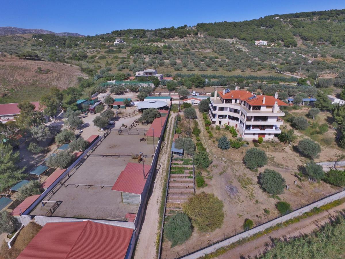 Οδυσσεια, Κοντά Σε Αεροδρόμιο, Λιμάνια Και Θάλασσες Apartment Keratea Exterior foto