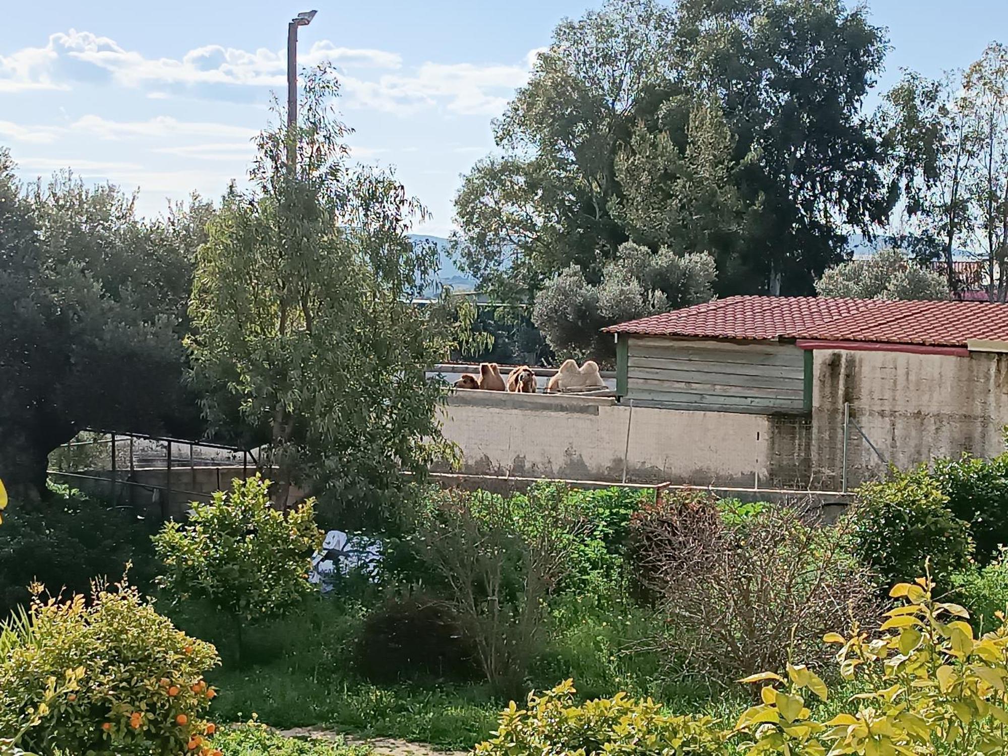 Οδυσσεια, Κοντά Σε Αεροδρόμιο, Λιμάνια Και Θάλασσες Apartment Keratea Exterior foto